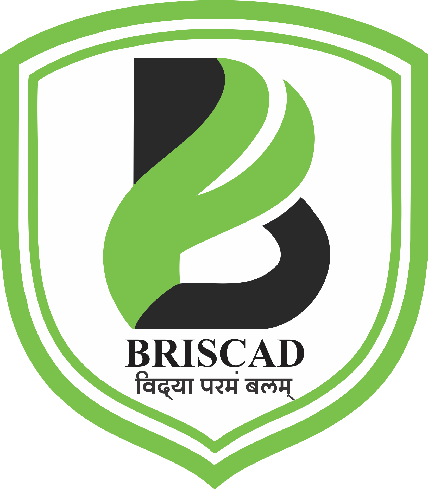 briscad logo HQ